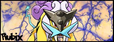 Raikou Finished