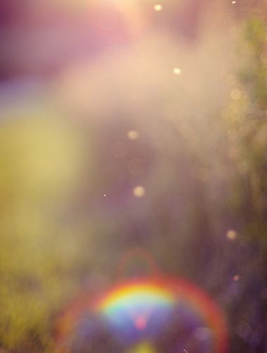 Rainbiw