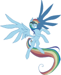 Rainbow Dash Flight Avatar

Fly high, with wings outstretched...