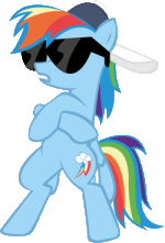 Rainbow Dash Rap Pose

Making rap 20% cooler.