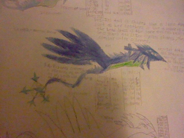 Rain's Level 2. Her Blizzards are now more power than ever. Also now she can control water allowing her to gather and freeze the moisture around her f