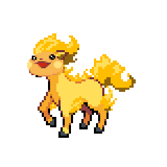 Rapachu