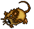 Raticate
