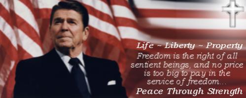 REAGAN REVOLUTION