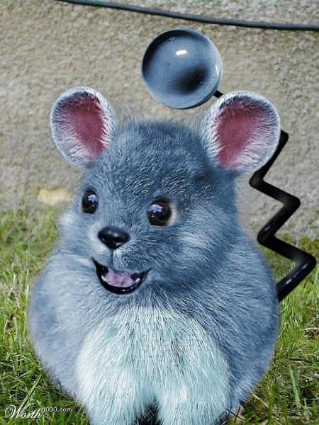 Real Marill. XD

Not made by me.