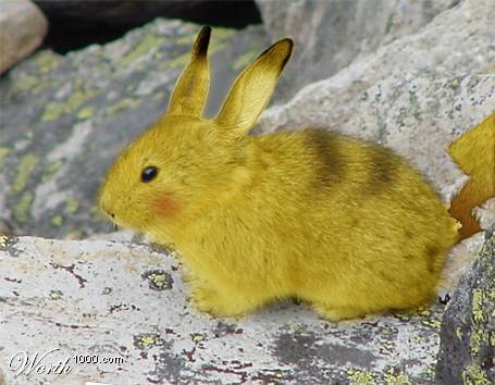 Real Pikachu? No...

Not made by me.