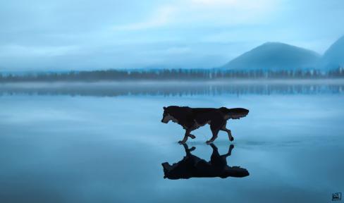 reflections.