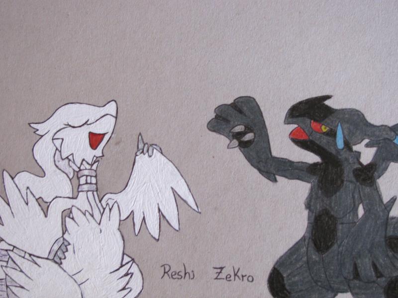 Reshi Zekro