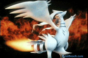 Reshiram, the cover Pokemon for Pokemon Black Version.