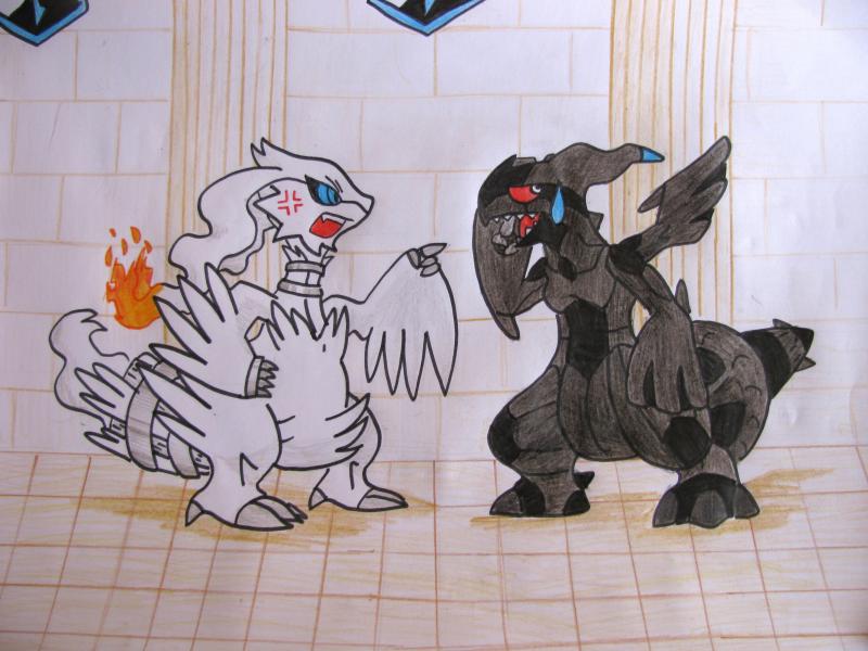 Reshiram vs Zekrom
