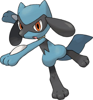 riolu

Attacks:
- Copycat
- Protect
- Brick Break
- Payback