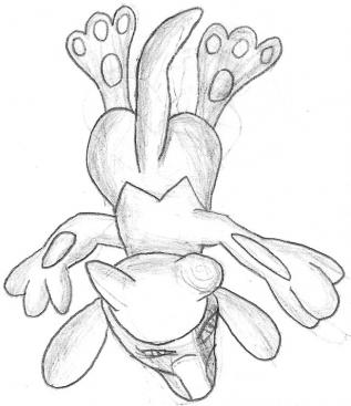 Riolu