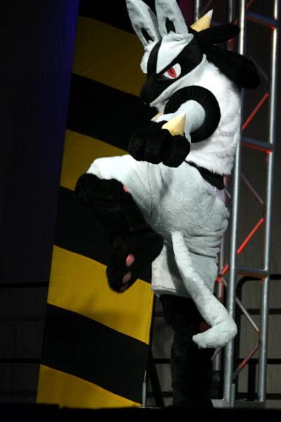 Roak the Lucario