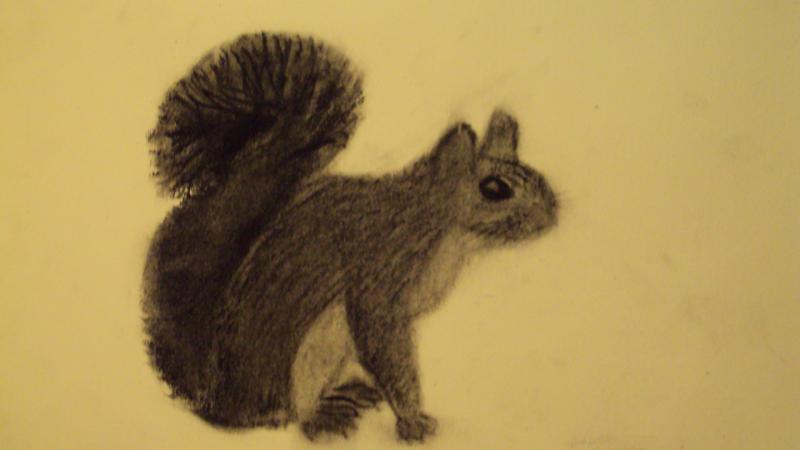 Rofl, squirrel :)