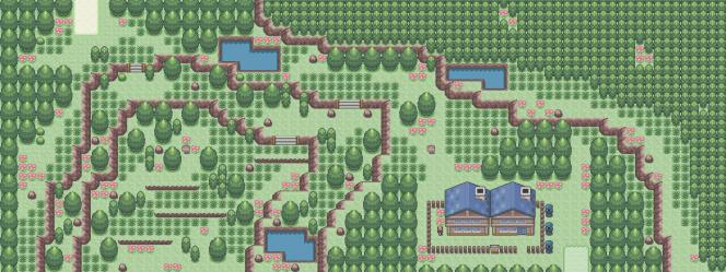 Route 1, Features the lab where you meet your rival.
