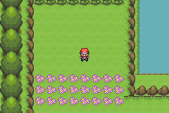 Route 1
