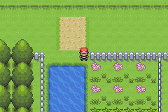 Route 21