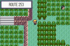 Route 253