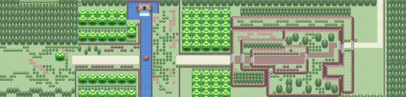 Route 29 part 1