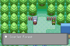 Scarlet Forest
