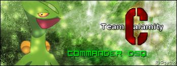 sceptilebannerzx8