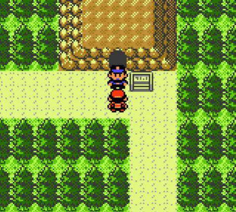 Screenshot of a Bumi Regional Pokemon League Guard doing his job (he was actually then moved to inside the cave, blocking the player's access from the
