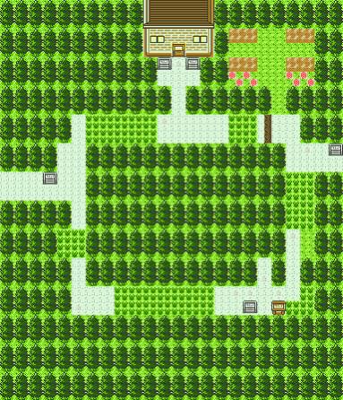 Screenshot of the layout for the 1st Route of the game, where the player can battle both of their rivals.

1st rival being a young man known as Savon,