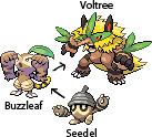 Seedel's evolutionary line. Will you choose the grass type as your starter?