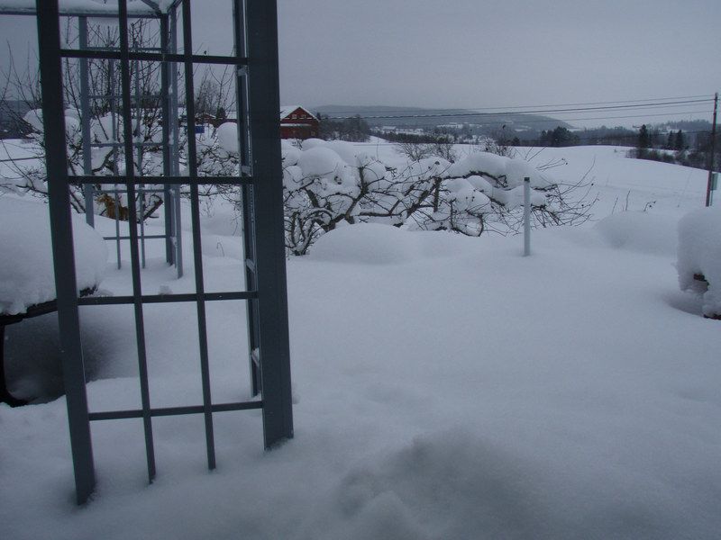 Seriously.. this is not fun. 70 centimetres of snow? I hate this place aaaaaaaaa -_- It's cold too..