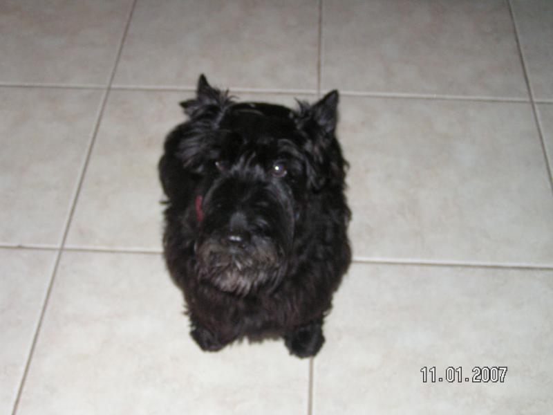 Shadow sitting