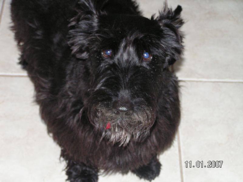 Shadow starring at me... >_>