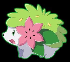 shaymin 3 shay shay