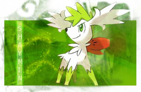 Shaymin Sky form banner