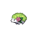 Shaymin
