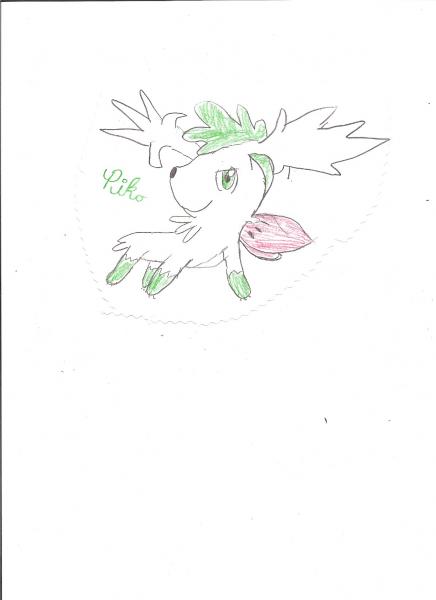 shaymin