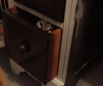 She likes hiding in things...