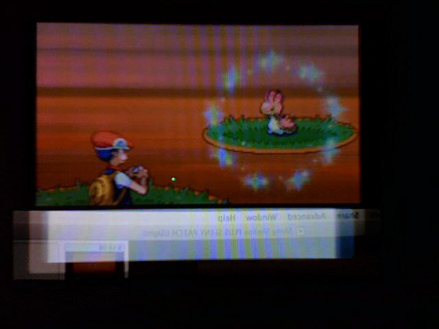Shellos Sparkles!