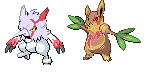 Shifty - Zangoose