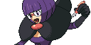 Shikimi