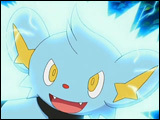 Shinx2