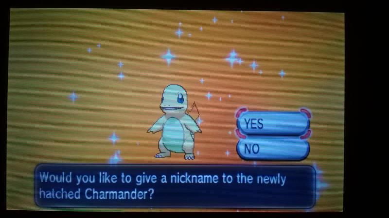 Shiny Charmander! <3 (532 Eggs MM) - female
