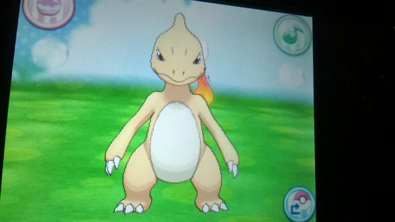 Shiny Charmeleon! <3 (evolution)