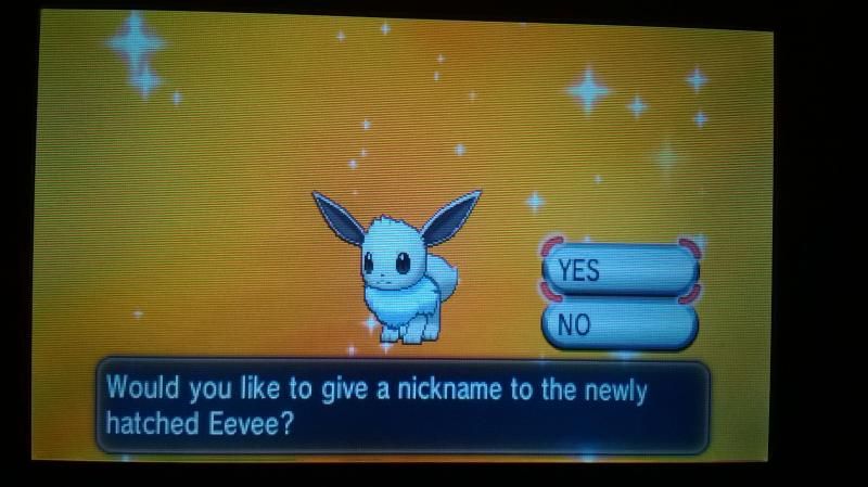 Shiny Eevee! <3 (28 Eggs MM) - male