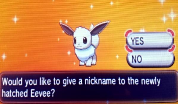 Shiny Eevee!! After 63 eggs! I evolved him into Vaporeon!