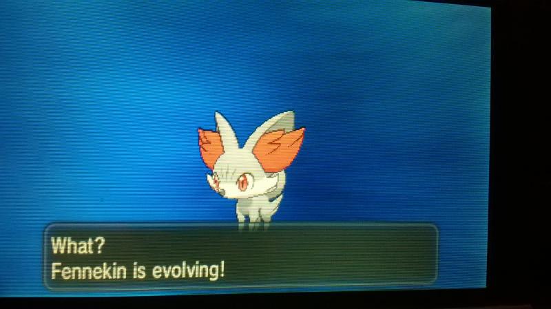 Shiny Fennekin! <3 (458 Eggs MM) - male