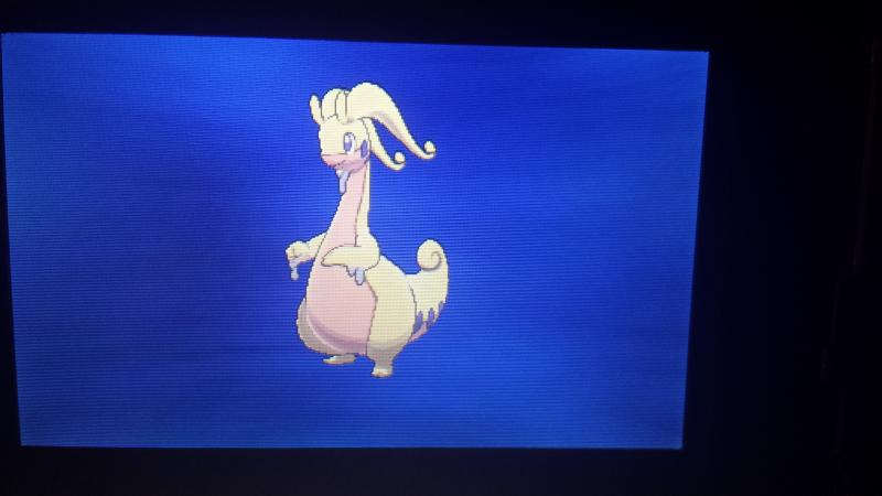 Shiny Goodra! (evolution)