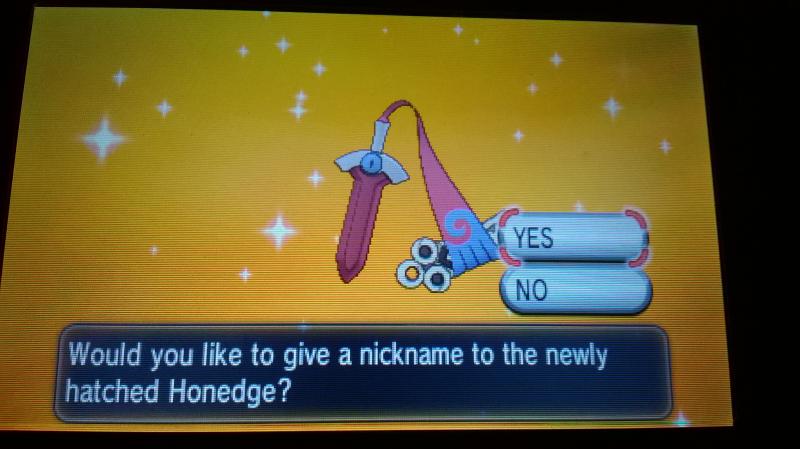 Shiny Honedge! <3 (720 Eggs MM) - female