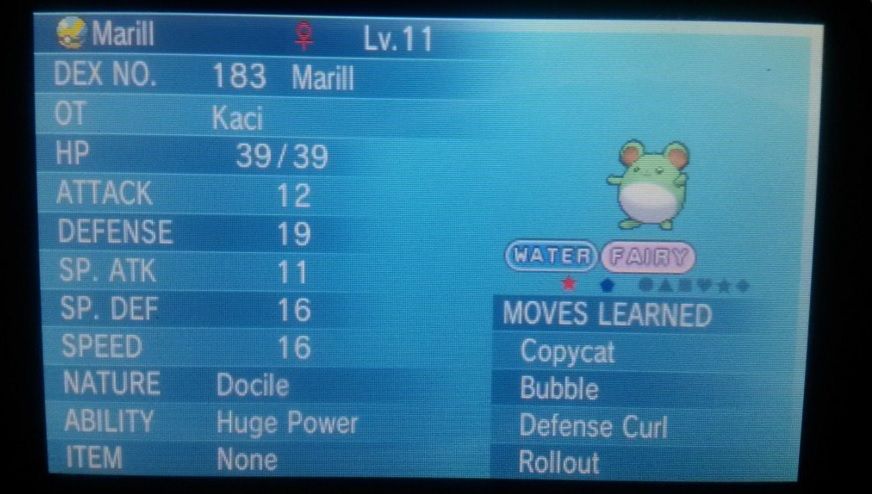 Shiny Marill that I caught on 12/1/2015