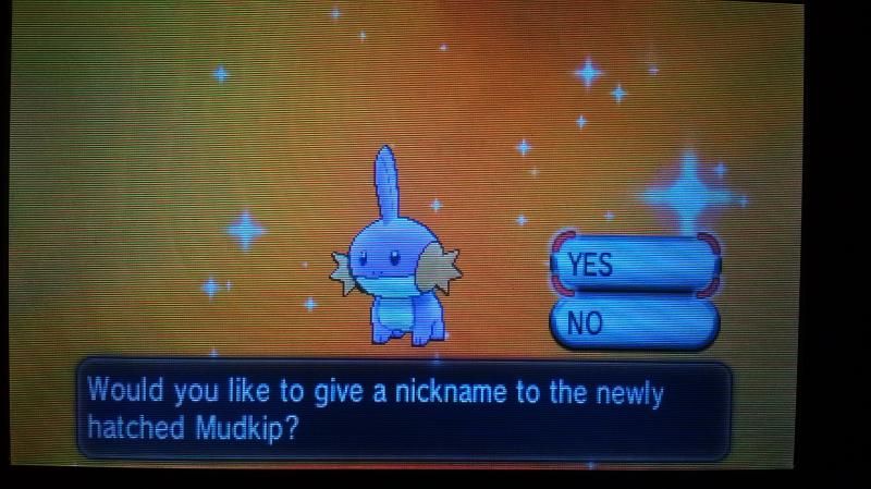 Shiny Mudkip! <3 (21-11-2014)