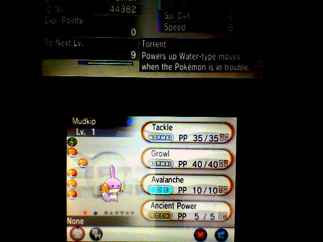 Shiny Mudkip